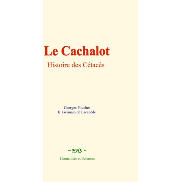 Le Cachalot