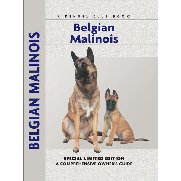 Belgian Malinois