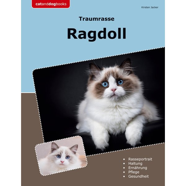 Traumrasse Ragdoll