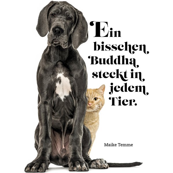 Ein bisschen Buddha steckt in jedem Tier