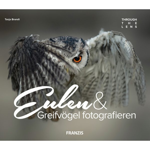 Eulen & Greifvögel fotografieren