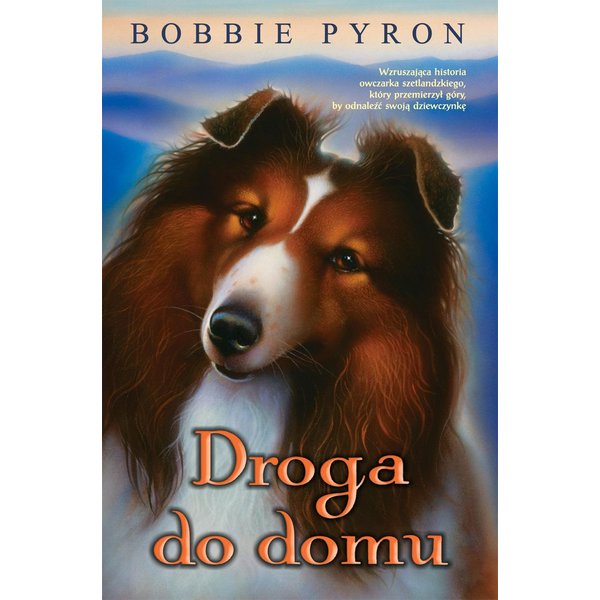 Droga do domu