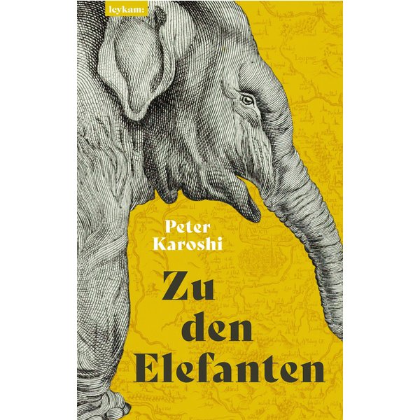 Zu den Elefanten