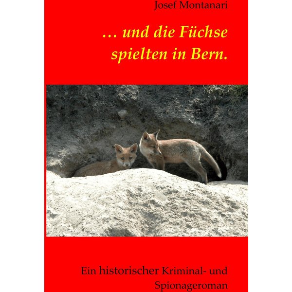 ... und die Füchse spielten in Bern.