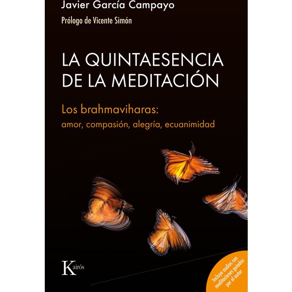 La quintaesencia de la meditación