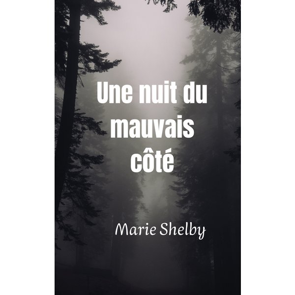 Une nuit du mauvais côté