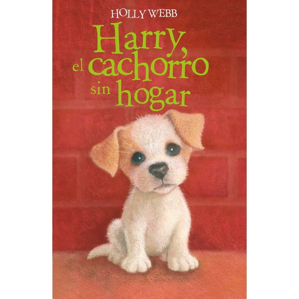 Harry, el cachorro sin hogar