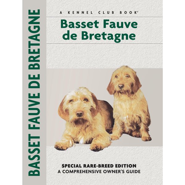 Basset Fauve De Bretagne