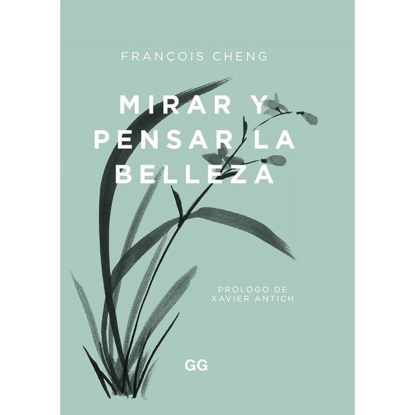 Mirar y pensar la belleza