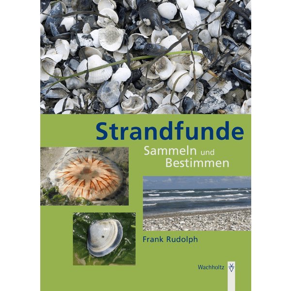 Strandfunde
