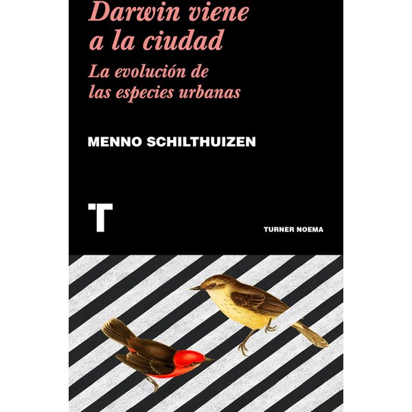 Darwin viene a la ciudad