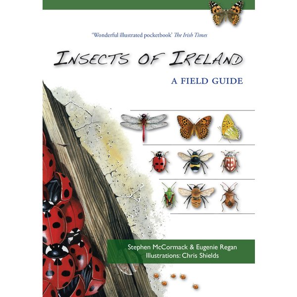 Insects of Ireland