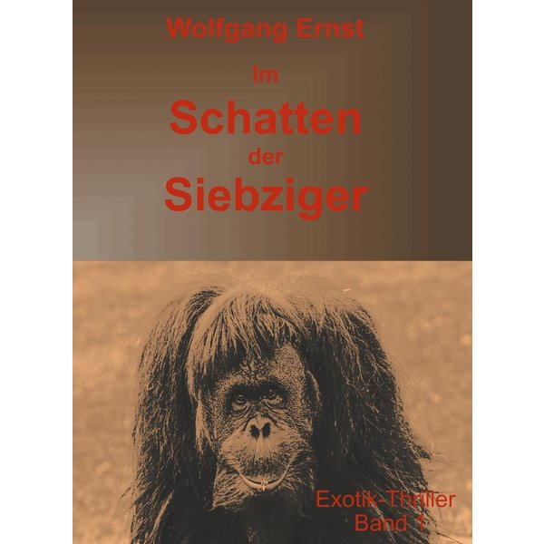 Im Schatten der Siebziger Band 1