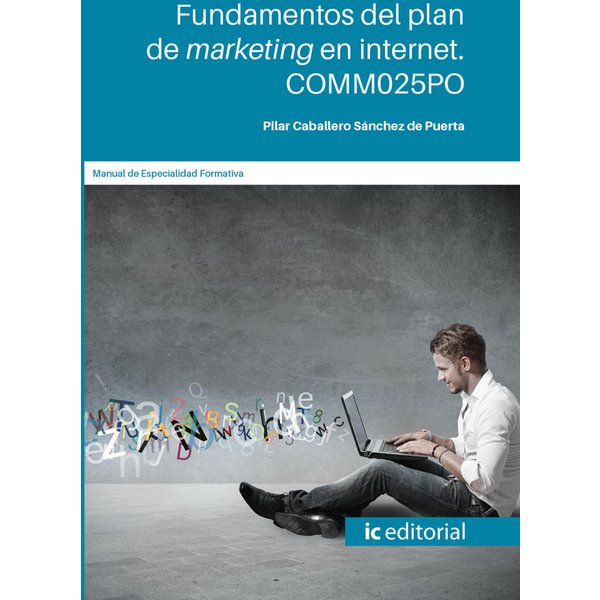 Fundamentos del plan de marketing en internet. COMM025PO