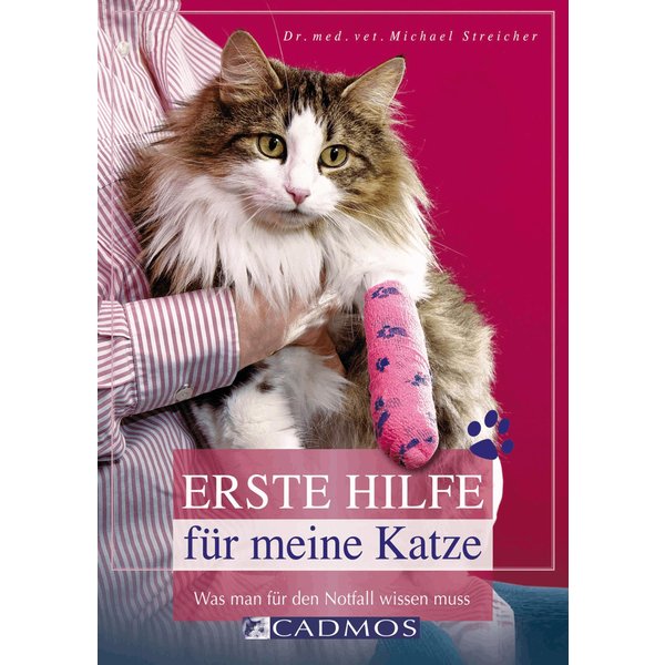 Erste Hilfe für meine Katze