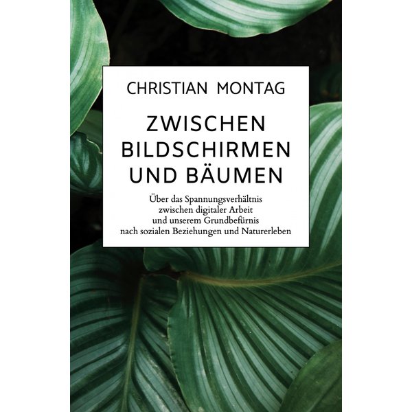 Zwischen Bildschirmen und Bäumen