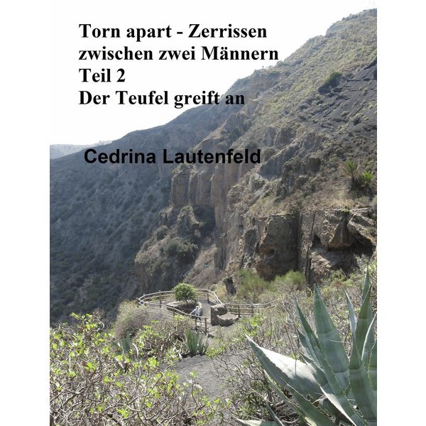 Torn apart - Zerrissen zwischen zwei Männern