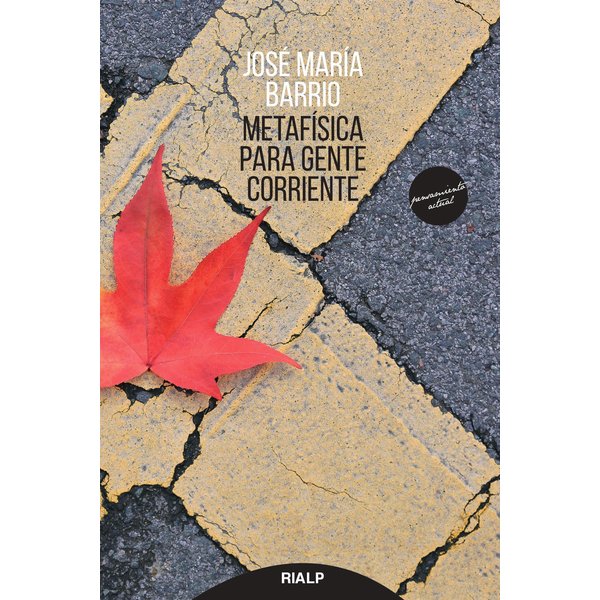 Metafísica para gente corriente