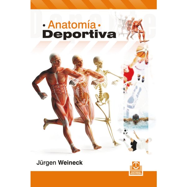 Anatomía deportiva