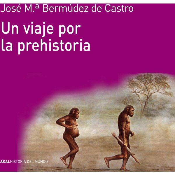 Un viaje por la prehistoria