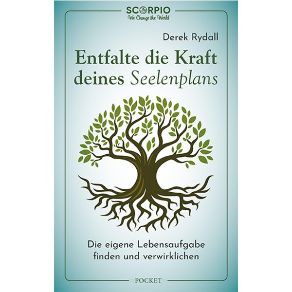 Entfalte die Kraft deines Seelenplans