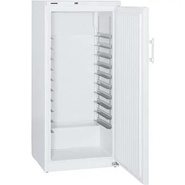 Liebherr BG5040 ProfiLine Freezer 491 Litres