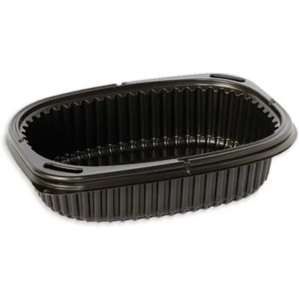 Hot Food Container 600ml X 480