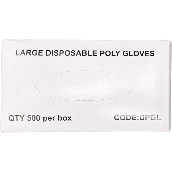 PE Disposable Gloves Clear Large