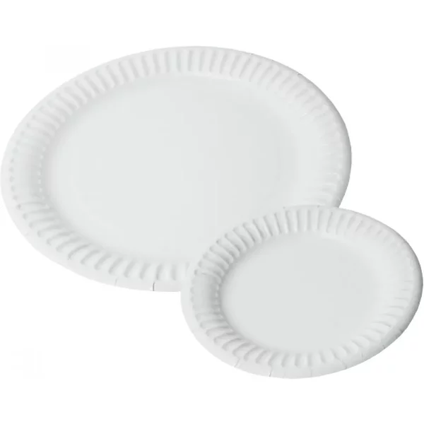 Compostable White Paper Plates 9" (100 Pack)