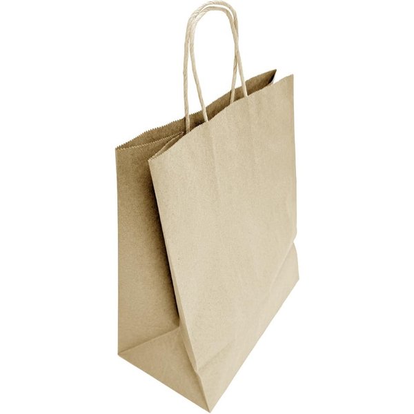 Fiesta Recyclable Twist Handle Brown Paper Bags Large (250 Pack)
