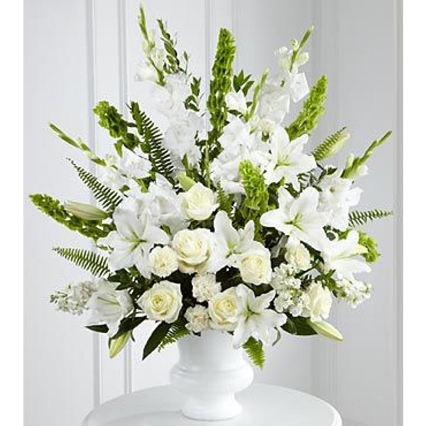 Morning Stars Arrangement