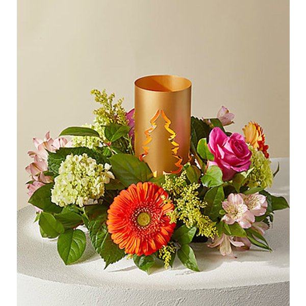 Sunlit Centerpiece