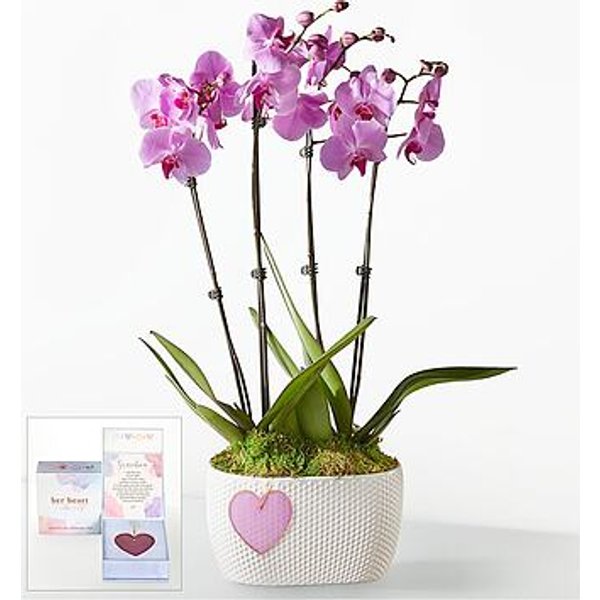 Pink Orchid Garden with Grandma Heart Keepsake - FedEx