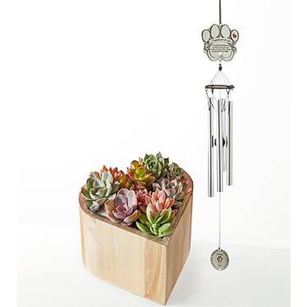 My Heart Succulent Garden with Pet Memorial Windchime - FedEx
