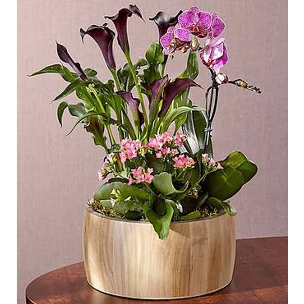Sending a Garden of Love - FedEx