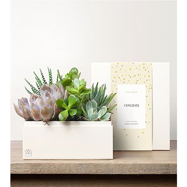 Lula's Urban Garden - Congrats - FedEx