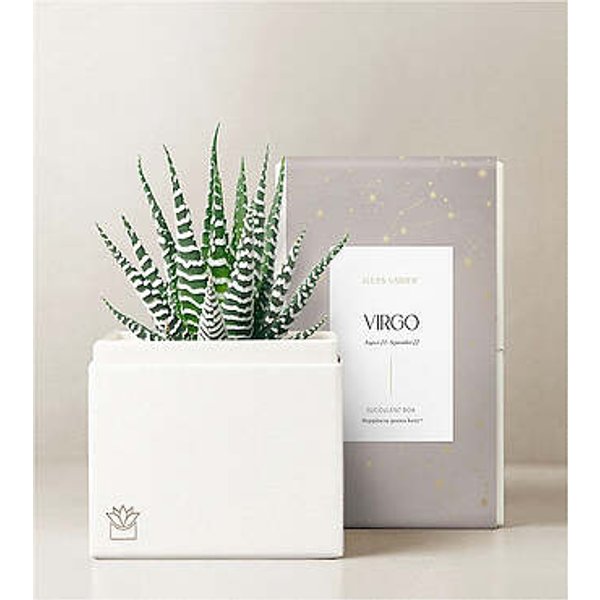 Lula's Garden - Zodiac Gardens - Virgo - FedEx