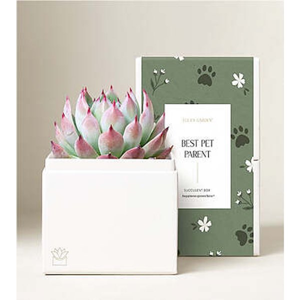Lula's Bliss Garden - Best Pet Parent - Bliss Garden - FedEx