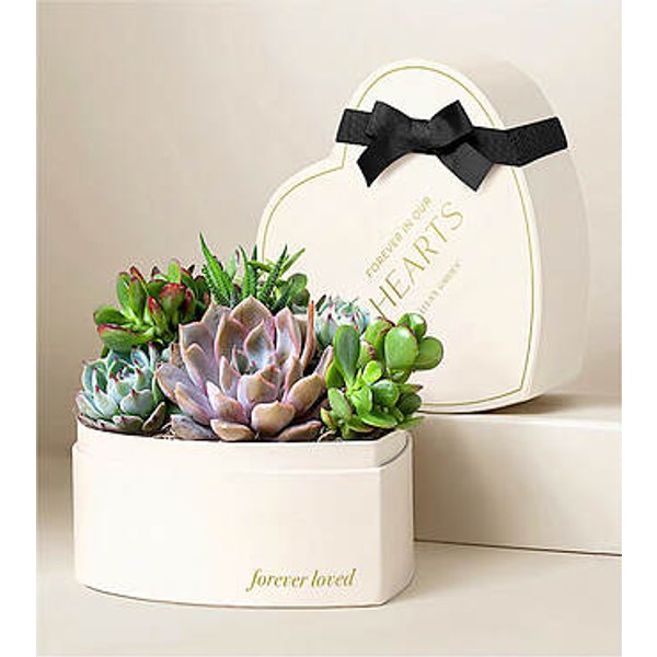 Lula's Heart Garden - Condolences - FedEx