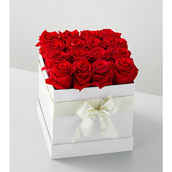 Red Forever Roses - 16 Preserved Roses - FedEx