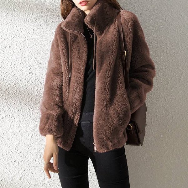 Women's Clothing Thickened Double Sided Coral Fleece, Stand Up Collar, Warm Sweater, Temperament Cardigan, Zippered Fleece Top-image