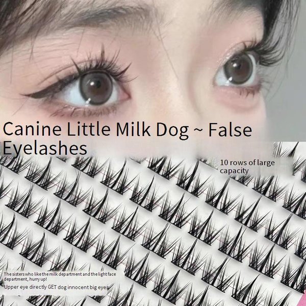 Makeup 10 Rows Of Soft And Cute Dog Eye False Eyelashes Large Capacity Cartoon Cute Photogenic Eyelashes Lazy Style Hand Clumsy Party
