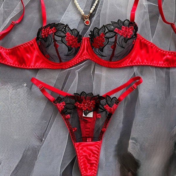 Women's Intimates Multi Color Hot Sexy Mesh Embroidery See Through Underwear For Women-image