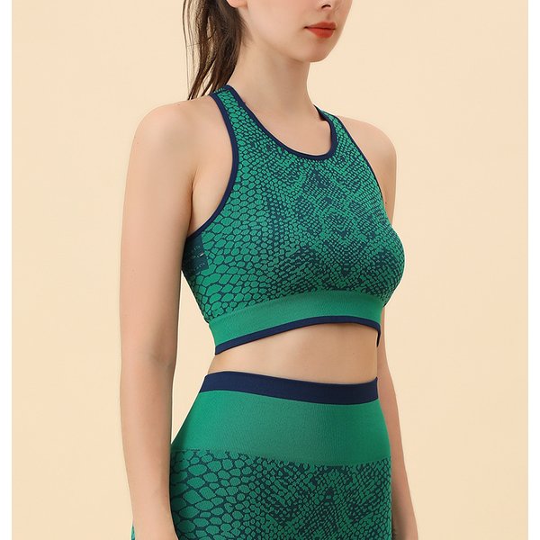 Snake Pattern Mesh High Waist Hip Lift Fitness Yoga Suit Quick Dry Breathable Running Sports Set Women