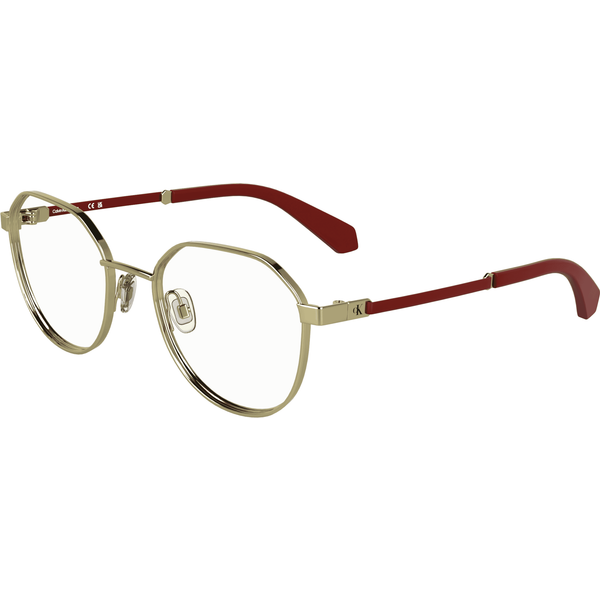 Calvin Klein Jeans CKJ25304 Glasses 717 Gold