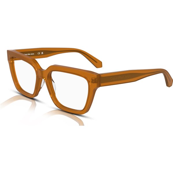 Calvin Klein Jeans CKJ25609 Glasses 201 Brown To