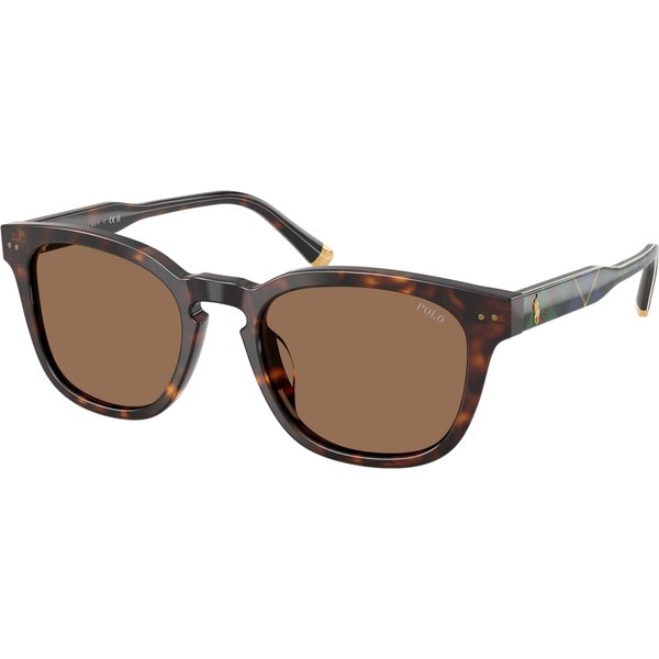 Polo Ralph Lauren PH4242U Men's Sunglasses 562573 Shiny Havana/Dark Brown