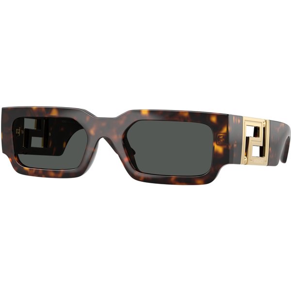 Versace VE4506U Men's Sunglasses 108/87 Havana/Dark Grey