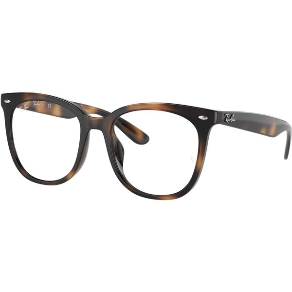 Ray-Ban RX4379VD Glasses 2012 Havana