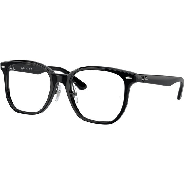 Ray-Ban RX5425D Glasses 2000 Black